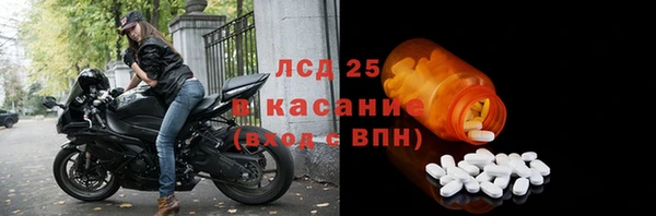 гашик Ельня