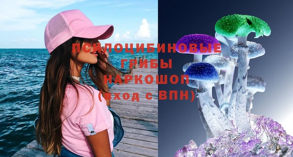 эйфоретик Заволжье